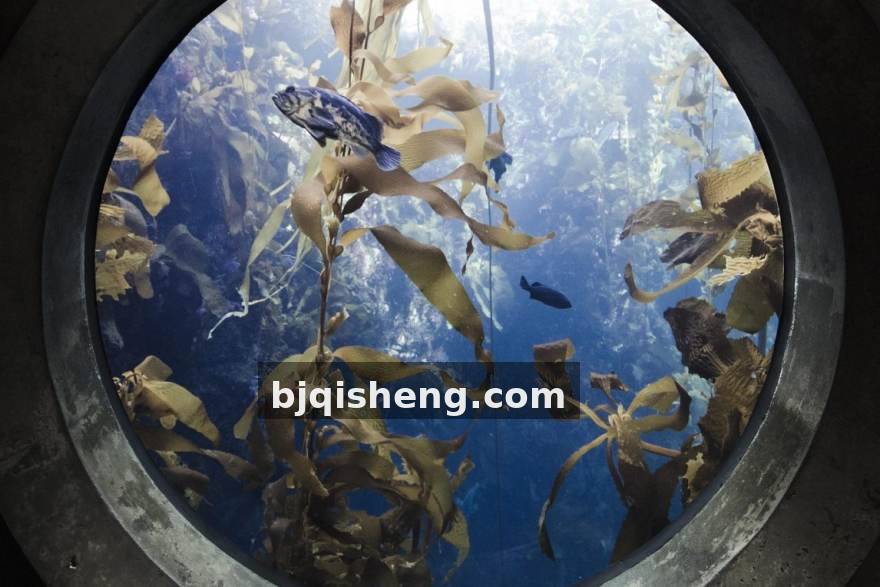 极速电竞装备评测服务配图
